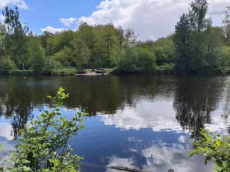 Naturschutzgebiet Raakmoor – Bild 4
