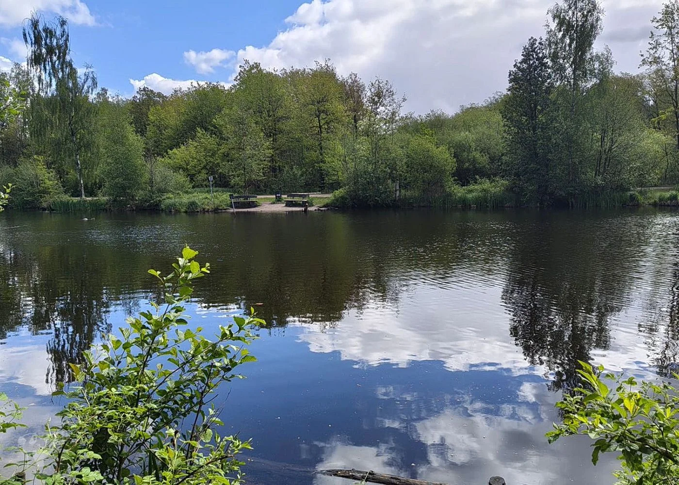 Naturschutzgebiet Raakmoor – Foto 4