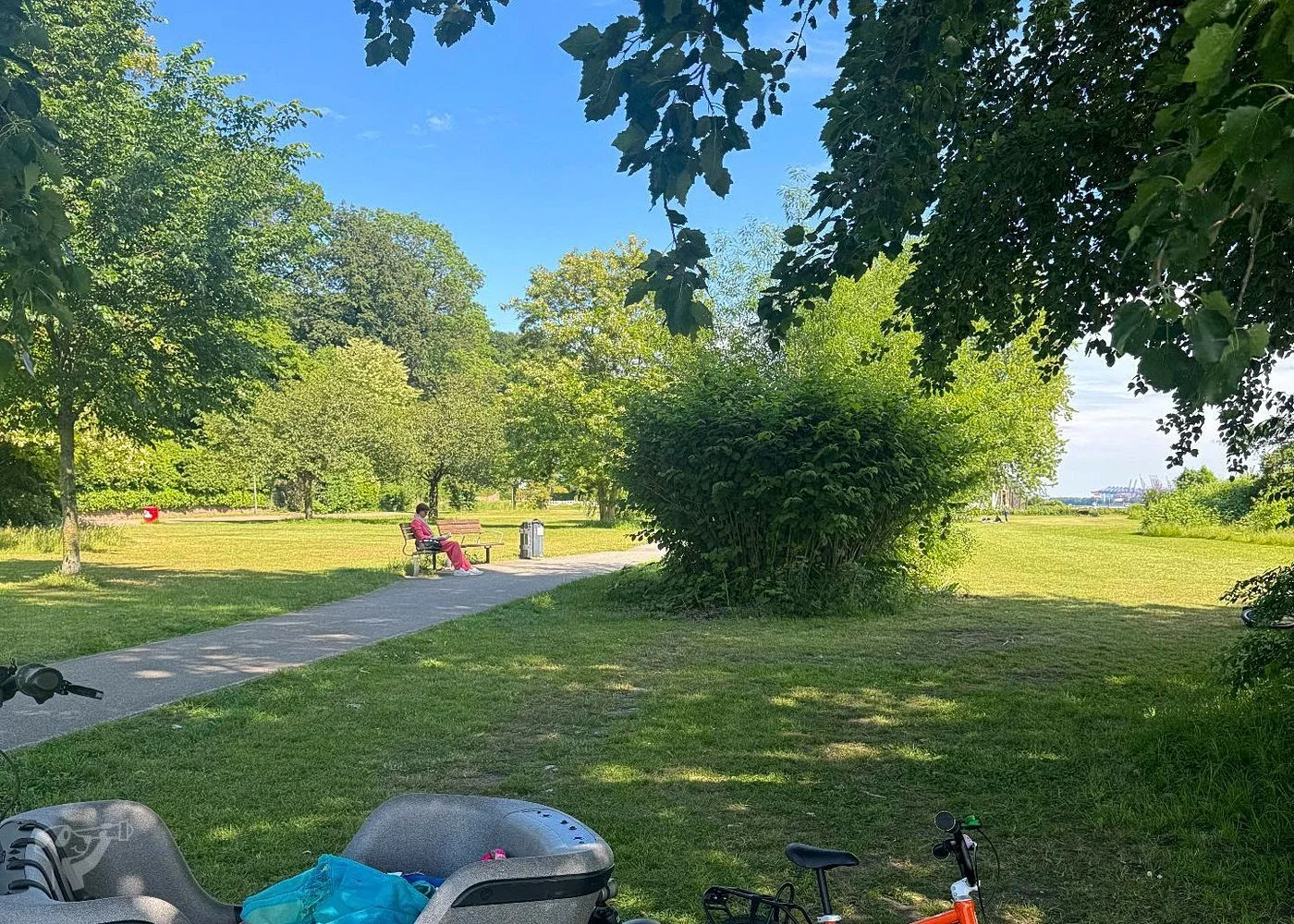 Baumschaukeln an der Elbe – Foto 6