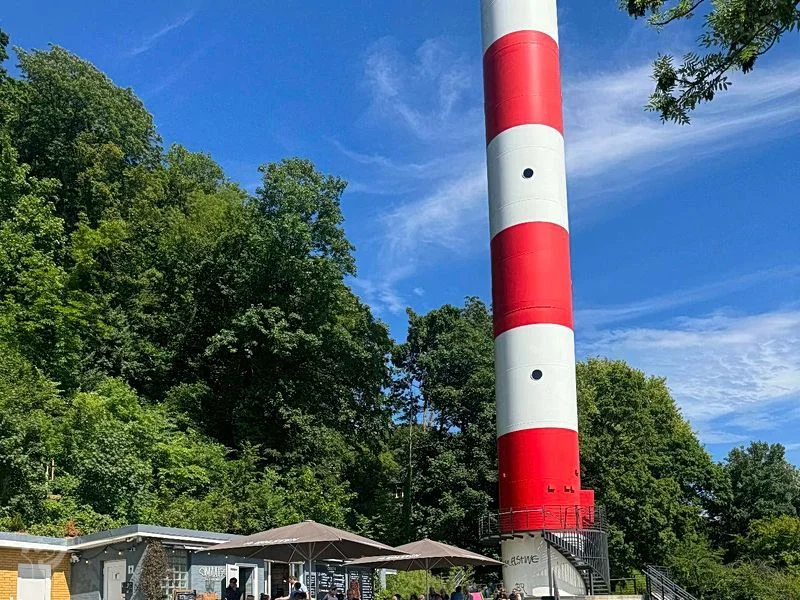 Baumschaukeln an der Elbe – Bild 23