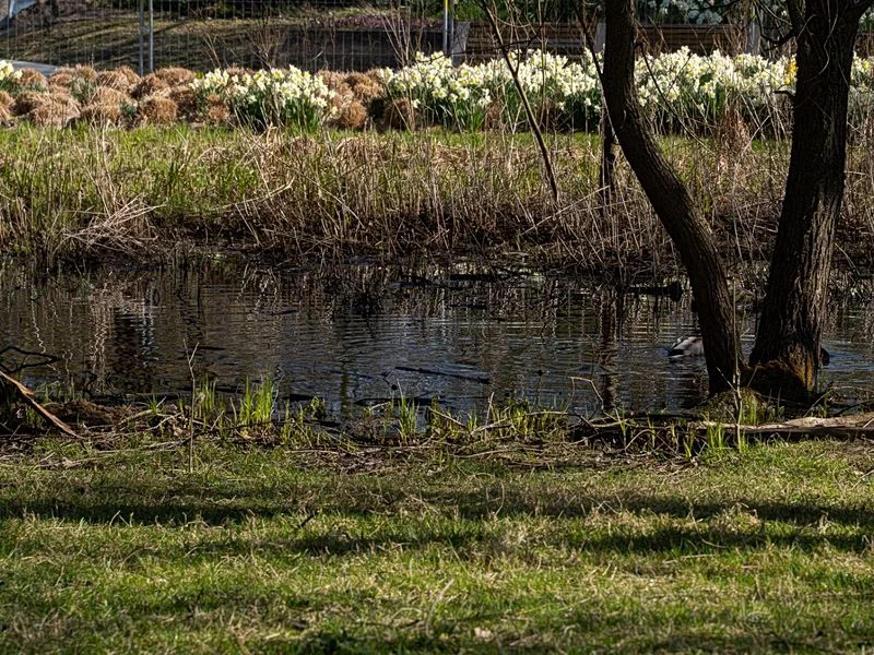 Spielplatz Wüstenwellen – Bild 10