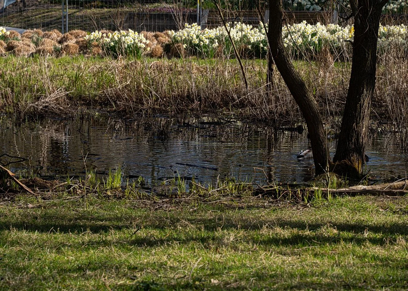 Spielplatz Wüstenwellen – Foto 10