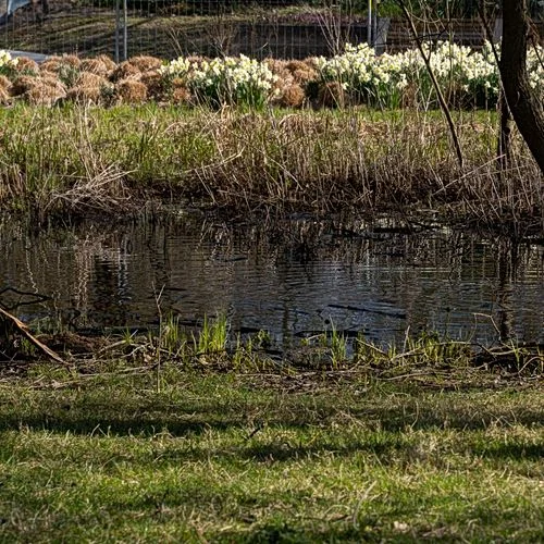 Spielplatz Wüstenwellen