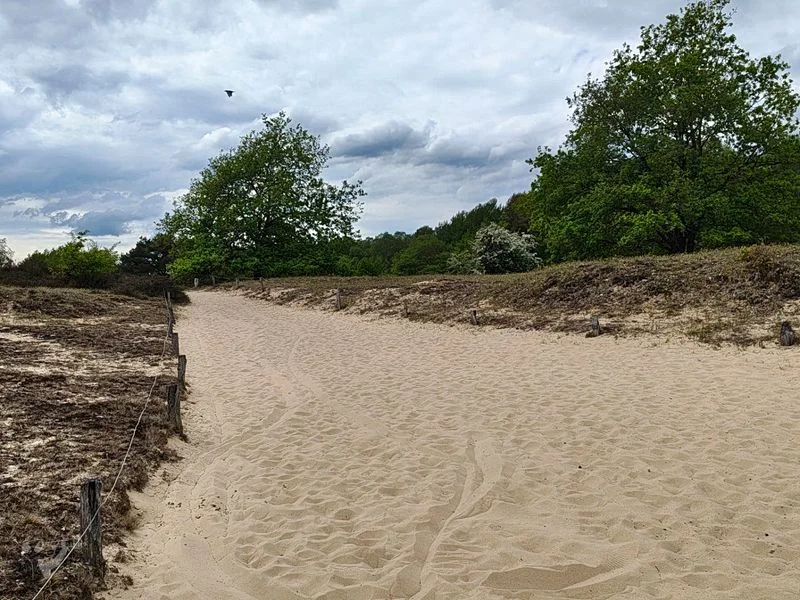 Boberger Dünen – Bild 12