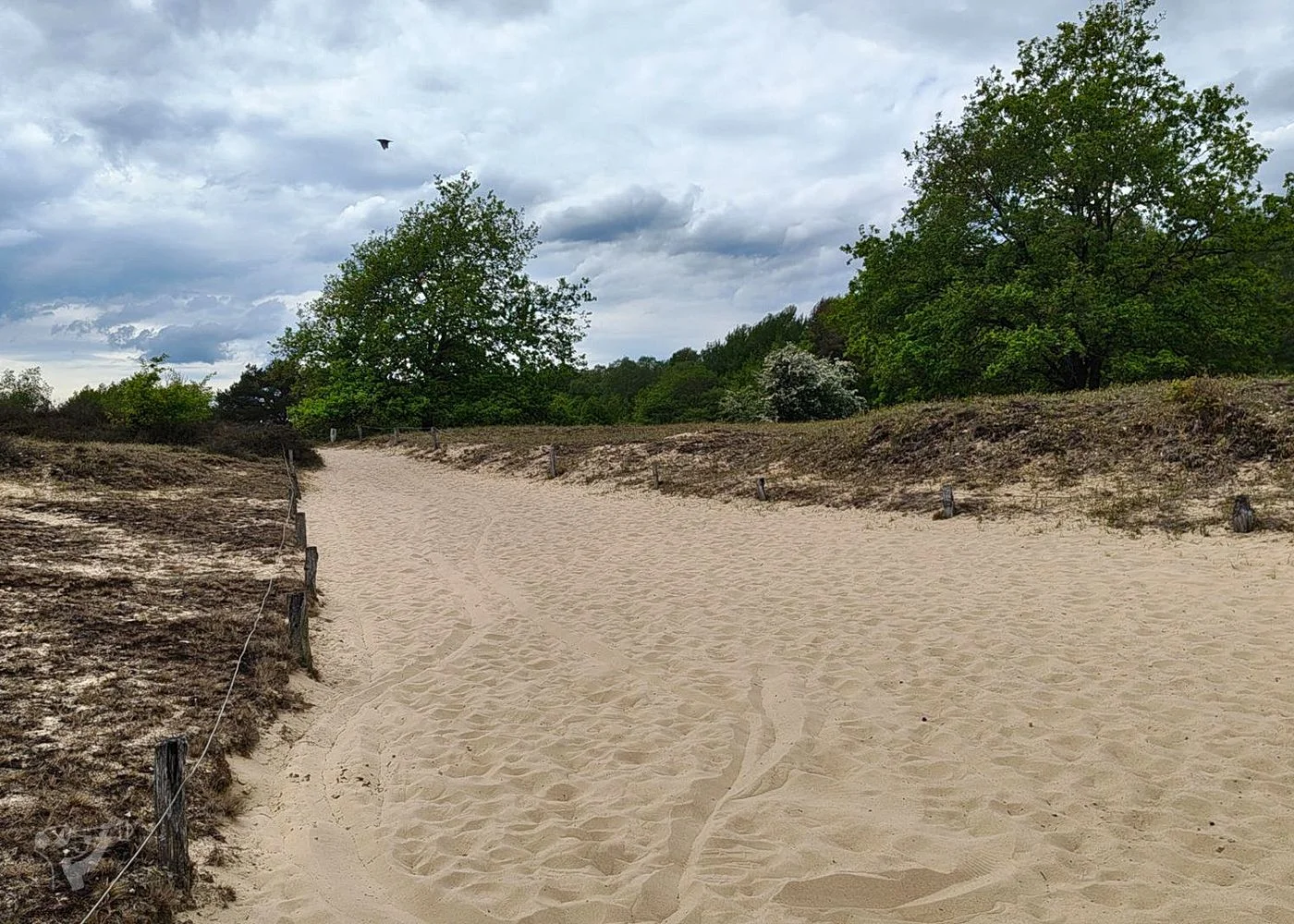 Boberger Dünen – Foto 12
