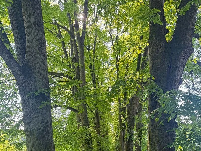 Hirschpark und Spielplatz – Bild 13