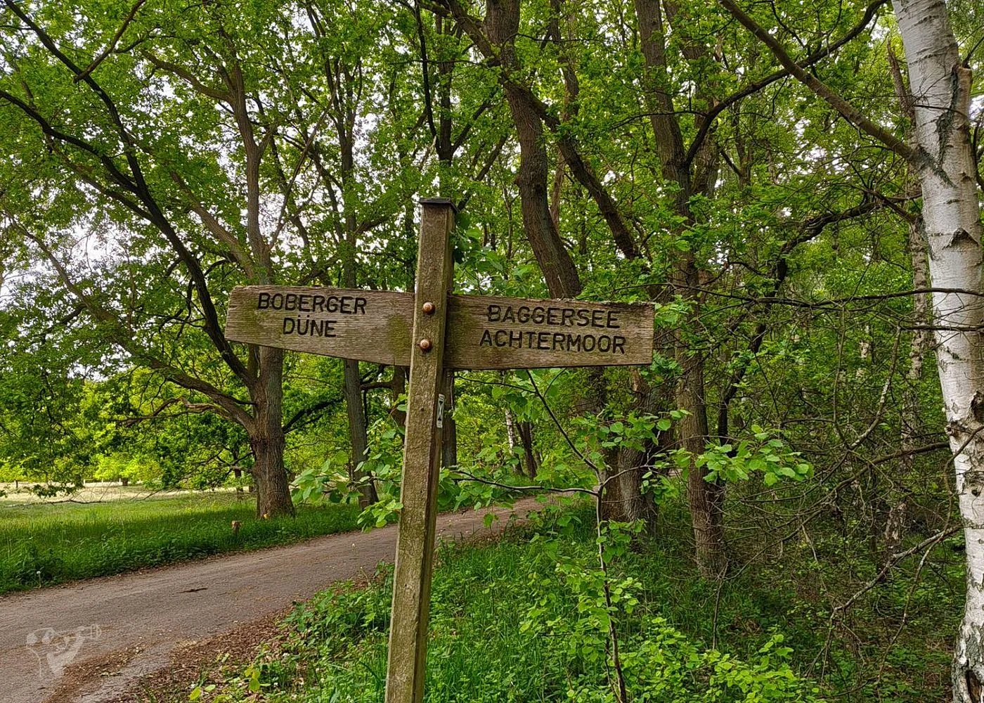 Boberger Niederung und Strand – Foto 13