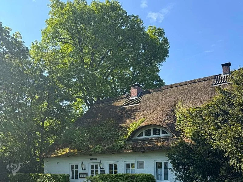 Hirschpark und Spielplatz – Bild 18