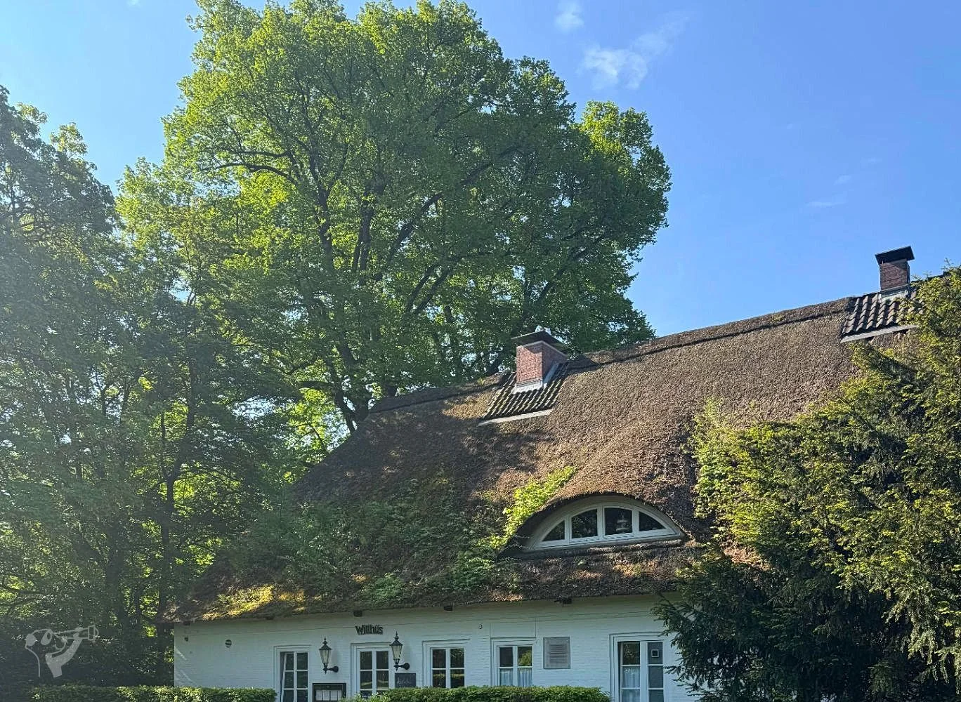 Hirschpark und Spielplatz – Foto 18