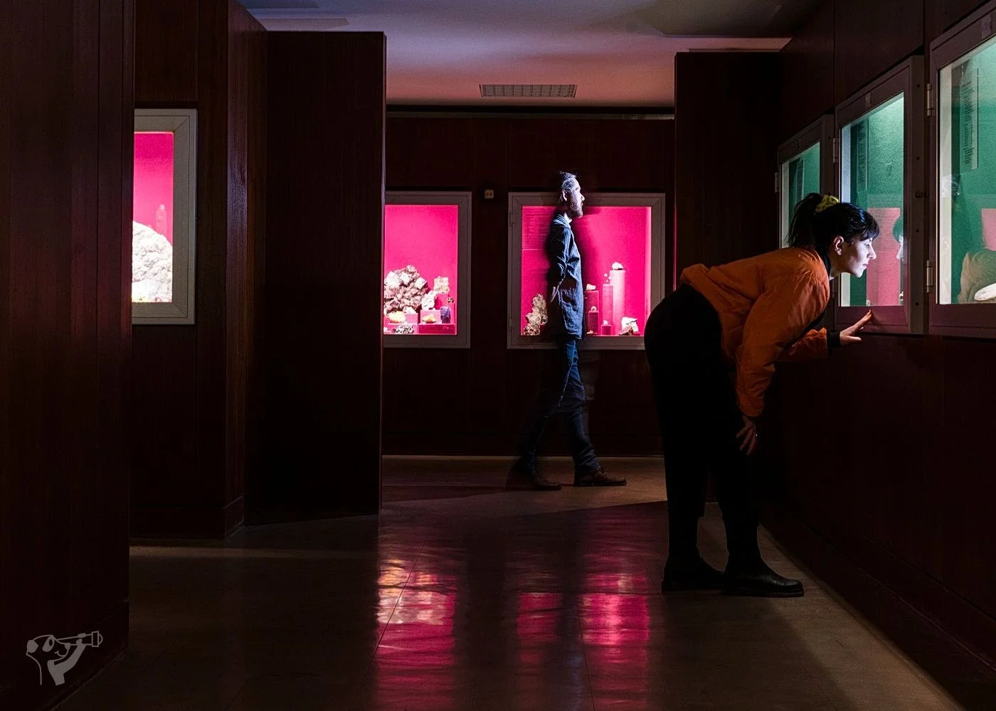 Museum der Natur · Mineralogische Ausstellung – Foto 7
