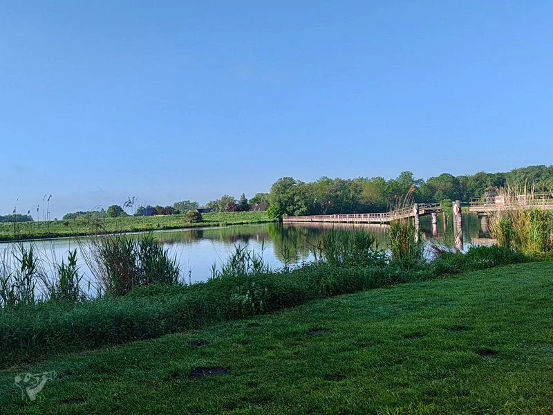 Wasserpark Dove-Elbe – Bild 1