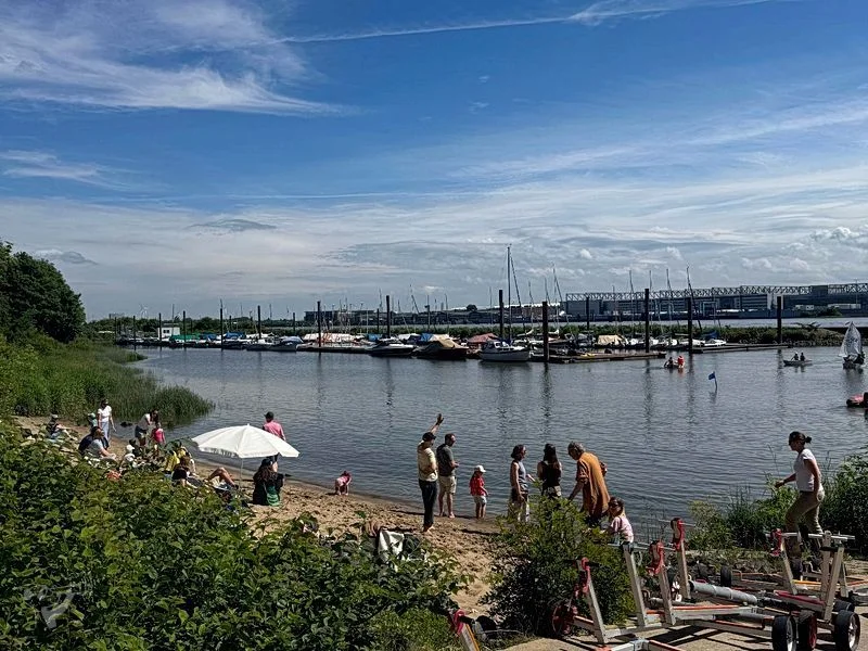 Baumschaukeln an der Elbe – Bild 22