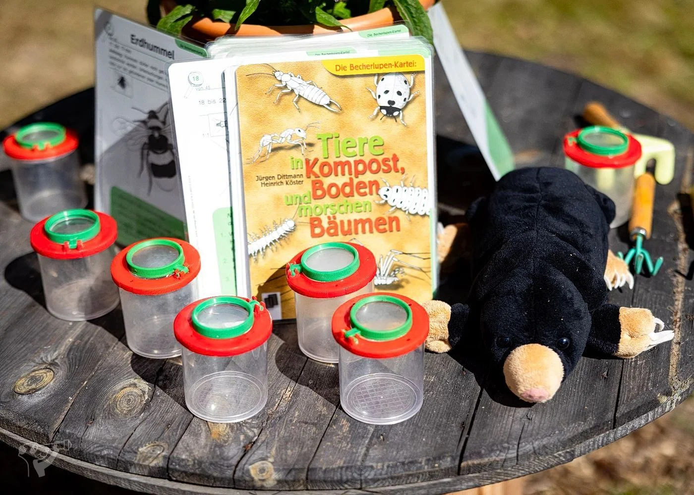 BUND Naturerlebnisgarten – Foto 5