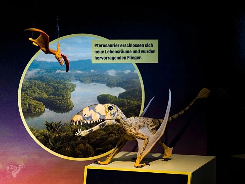 Museum der Natur · Geologische Ausstellung