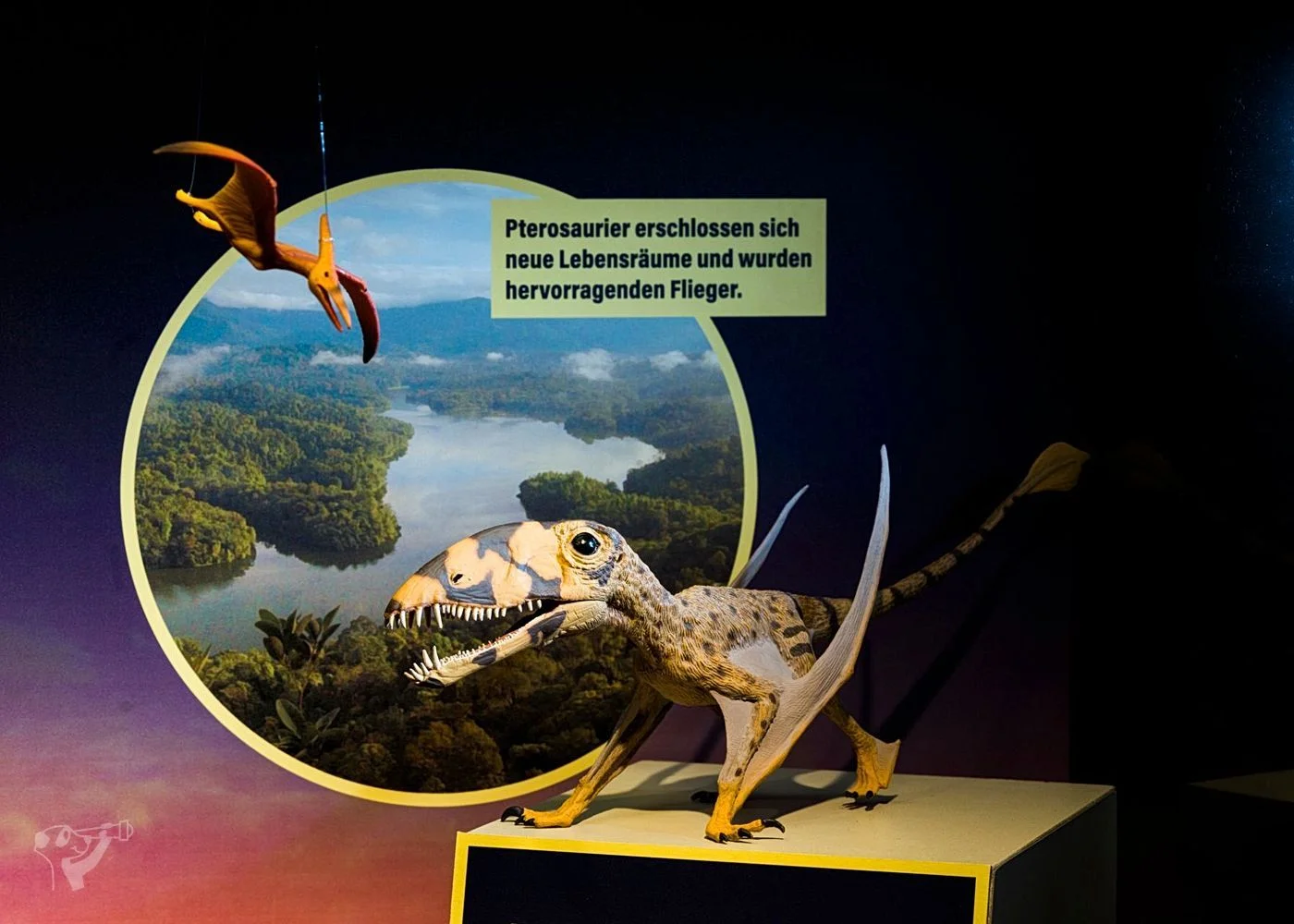 Museum der Natur · Geologische Ausstellung – Foto 3
