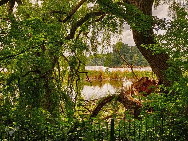 Öjendorfer Park – Bild 15