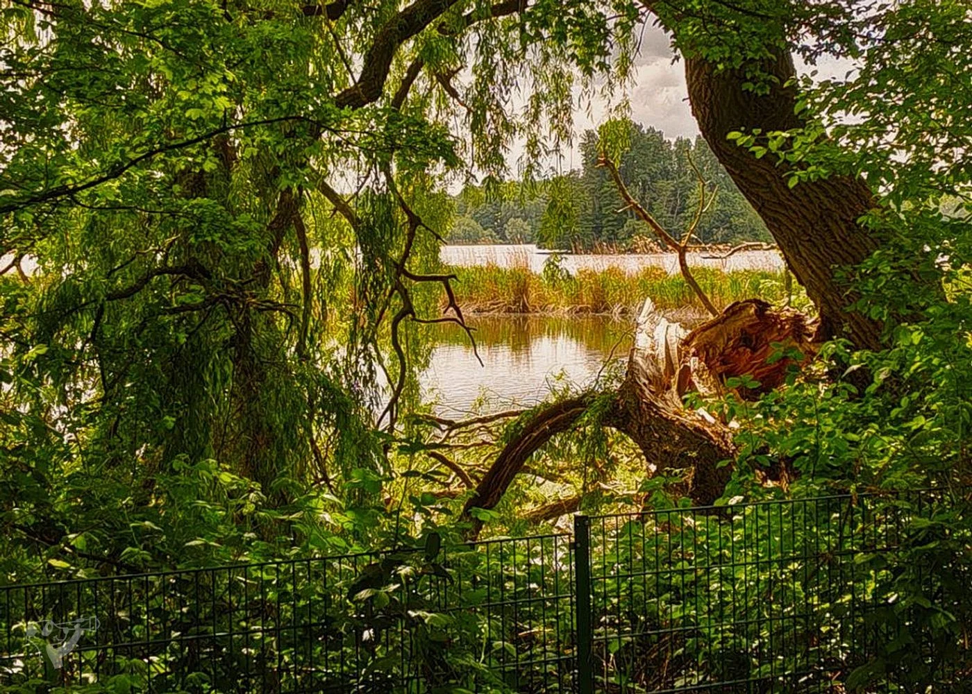Öjendorfer Park – Foto 15