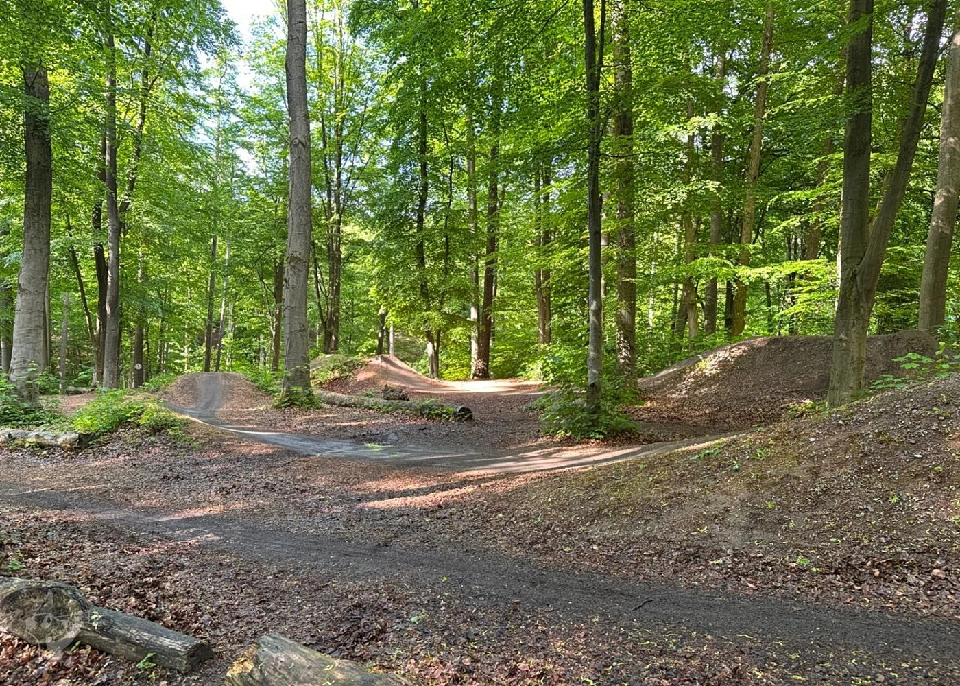Bikepark Volkspark – Foto 16