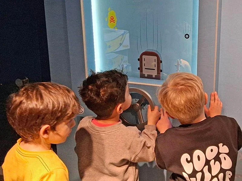 NaturRaum HafenCity - Zwischen Elbe und Asphalt – Bild 5