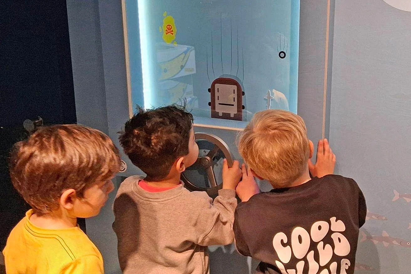 NaturRaum HafenCity - Zwischen Elbe und Asphalt – Foto 5