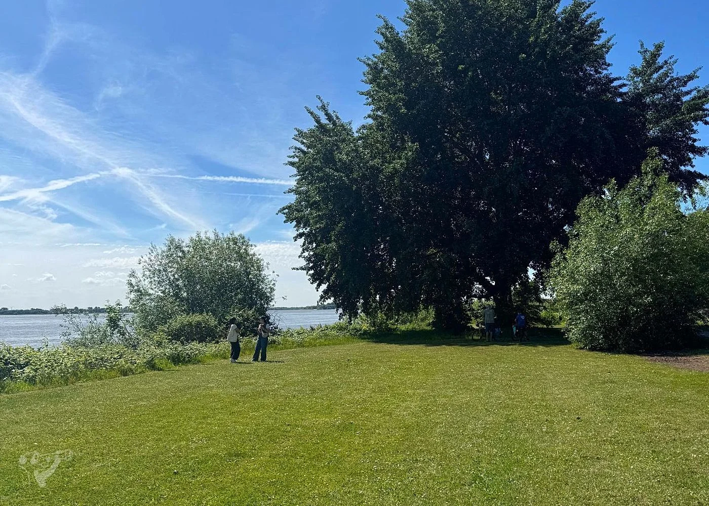 Baumschaukeln an der Elbe – Foto 9