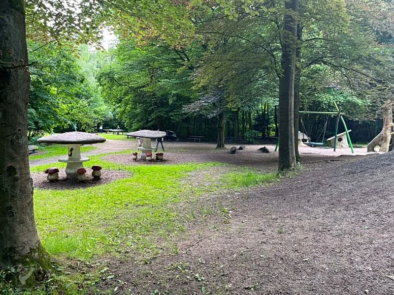 Waldspielplatz Teutonenweg (Pilzspielplatz) - der Schattenspender – Bild 14