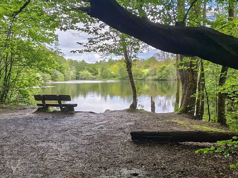 Naturschutzgebiet Raakmoor – Bild 9