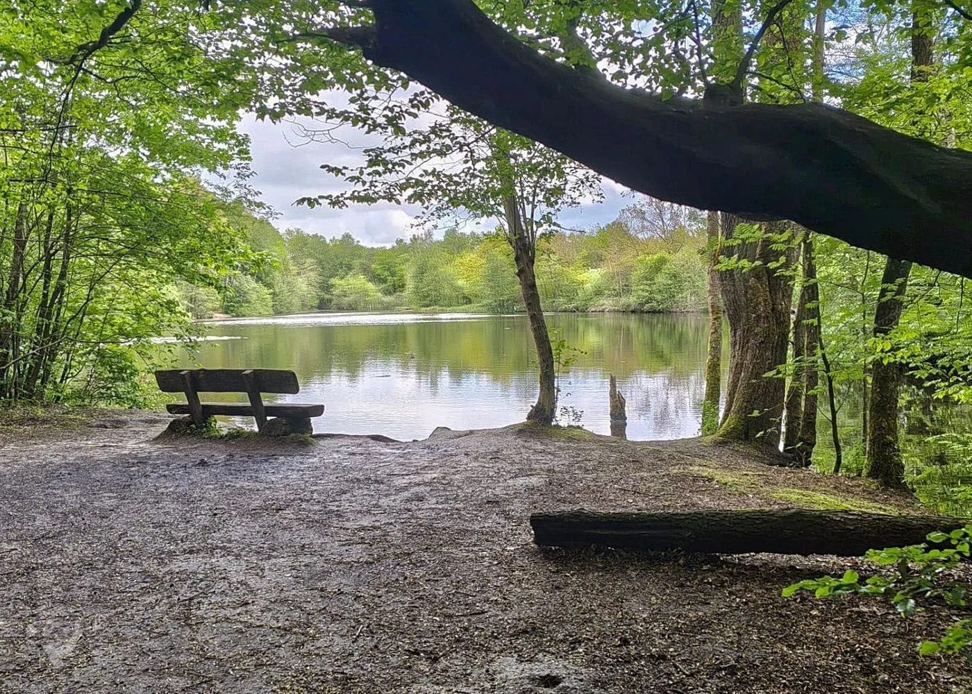 Naturschutzgebiet Raakmoor – Foto 9