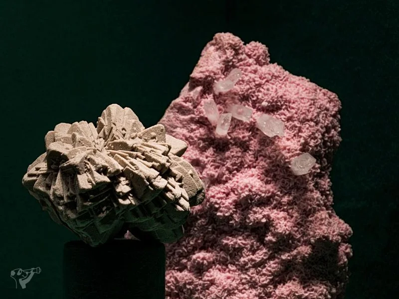 Museum der Natur · Mineralogische Ausstellung – Bild 5