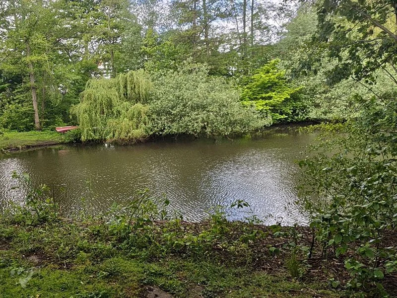 Eppendorfer Mühlenteich – Bild 16