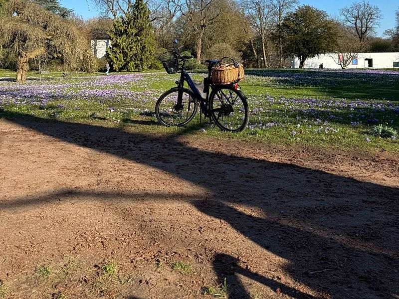 Spielplatz im Jenischpark – Bild 11