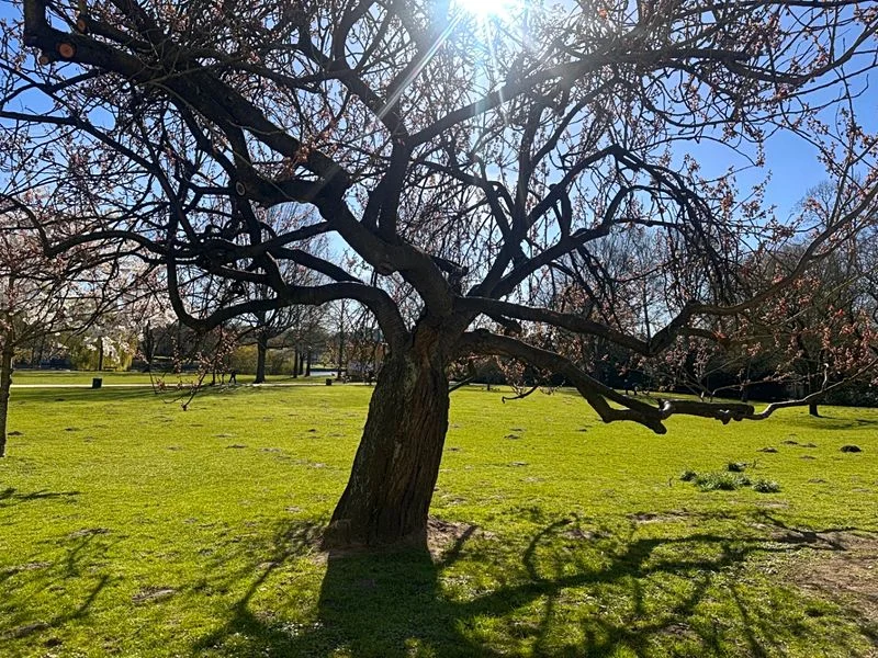 Hayns Park – Bild 1