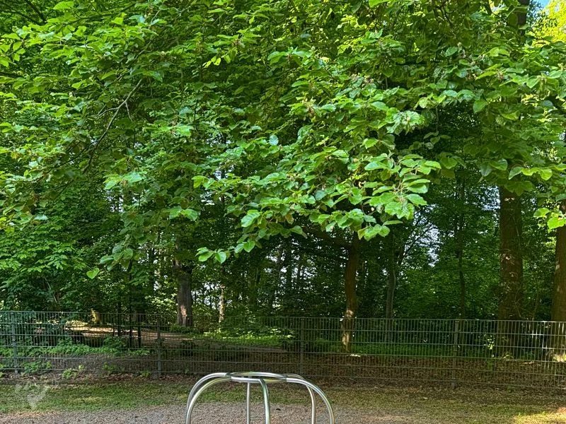 Hirschpark und Spielplatz – Bild 9