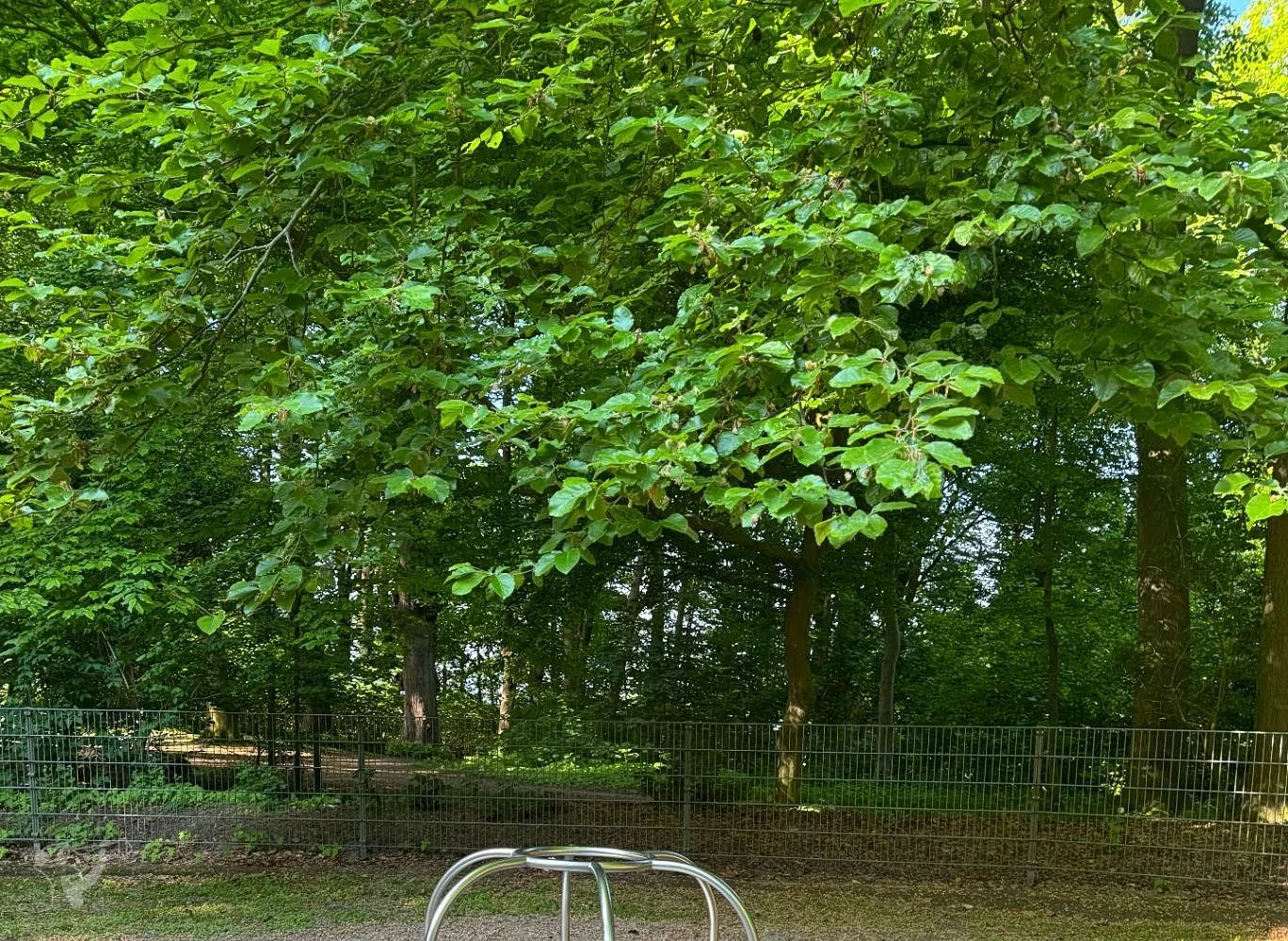 Hirschpark und Spielplatz – Foto 9