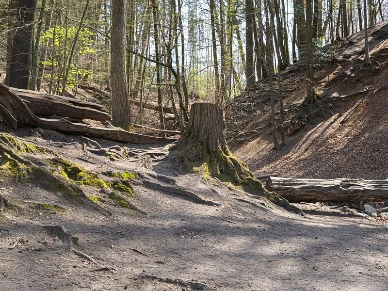 Drachenschlucht Wellingsbüttel – Bild 9