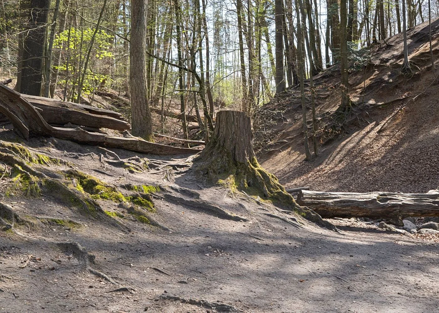 Drachenschlucht Wellingsbüttel – Foto 9