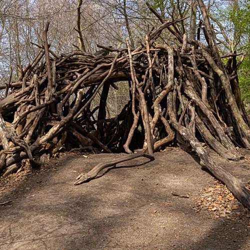 Drachenschlucht Wellingsbüttel