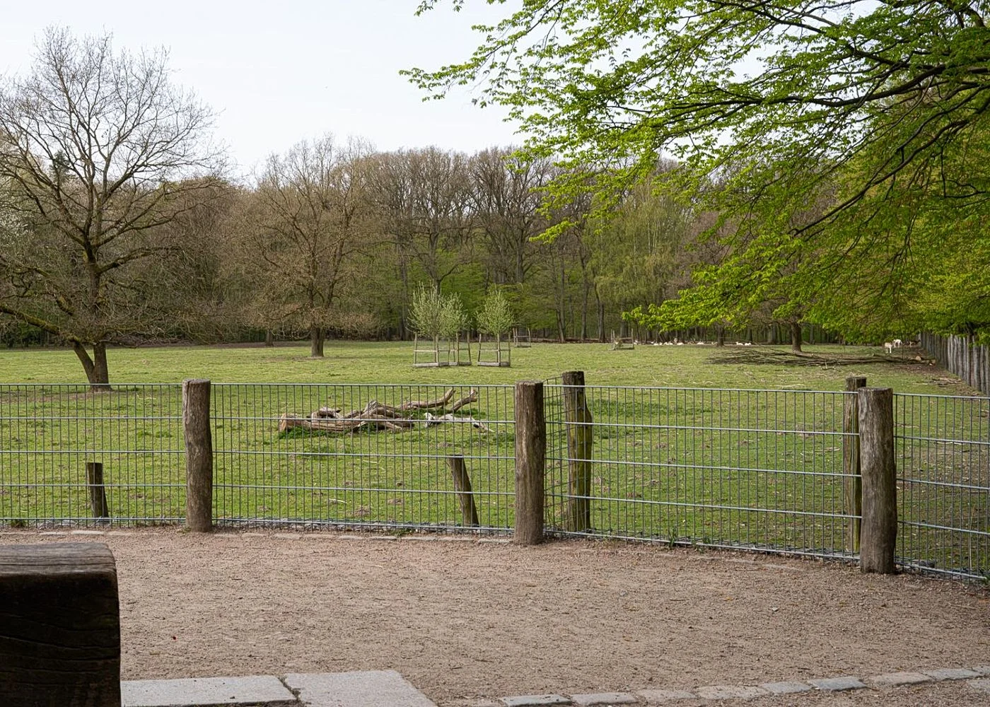 Niendorfer Gehege Lehrpfad – Foto 6