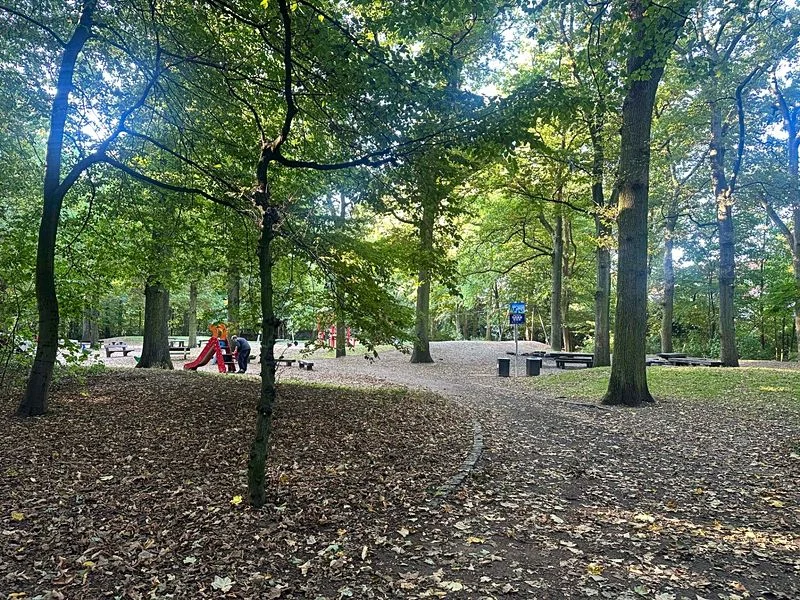 Waldspielplatz im Stadtpark – Bild 1