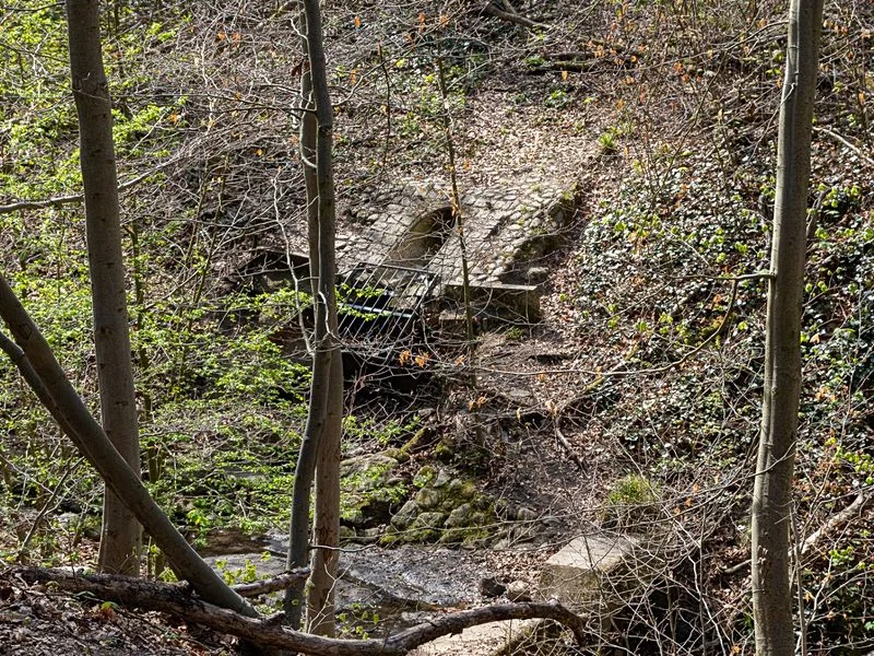 Drachenschlucht Wellingsbüttel – Bild 3