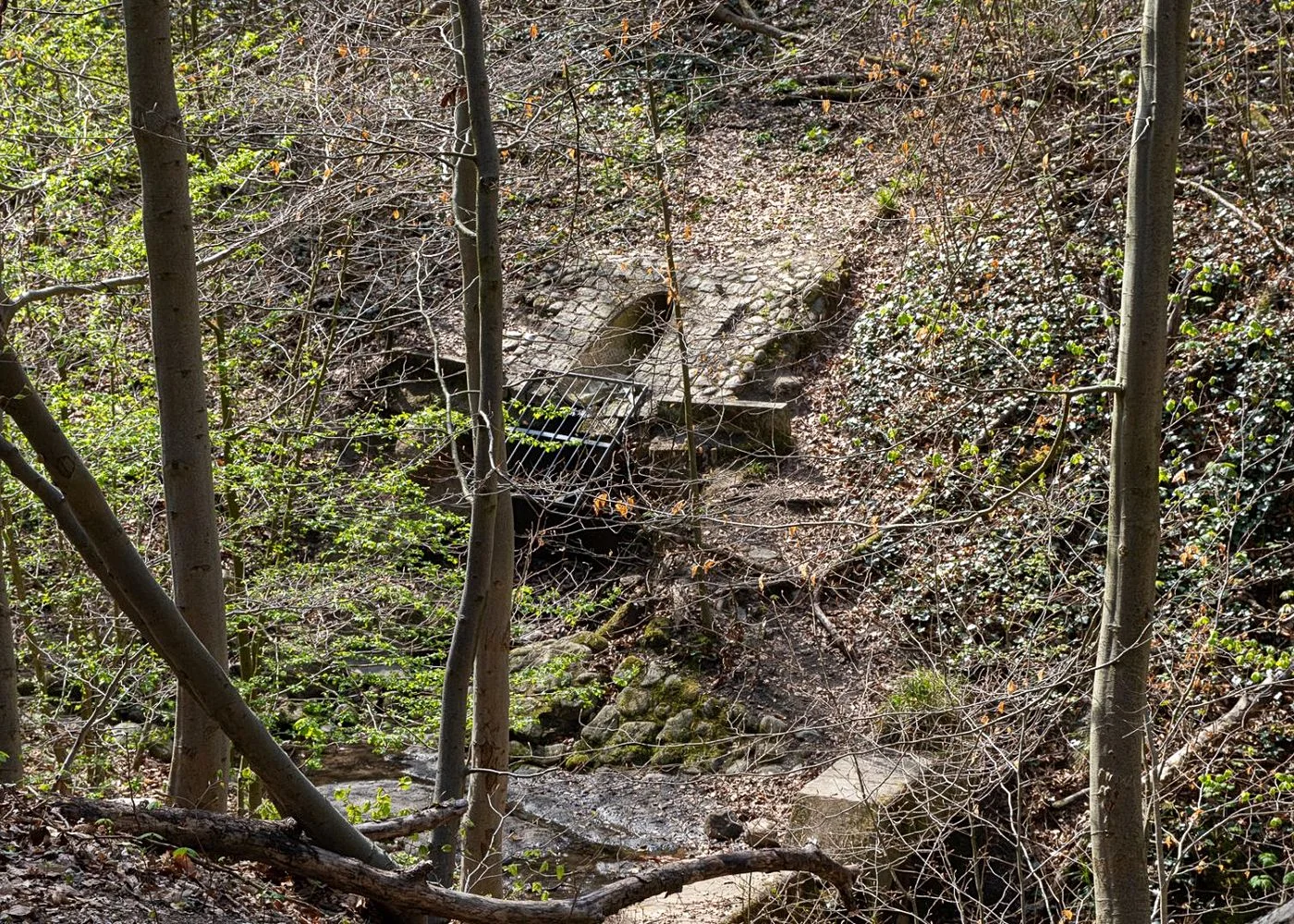 Drachenschlucht Wellingsbüttel – Foto 3
