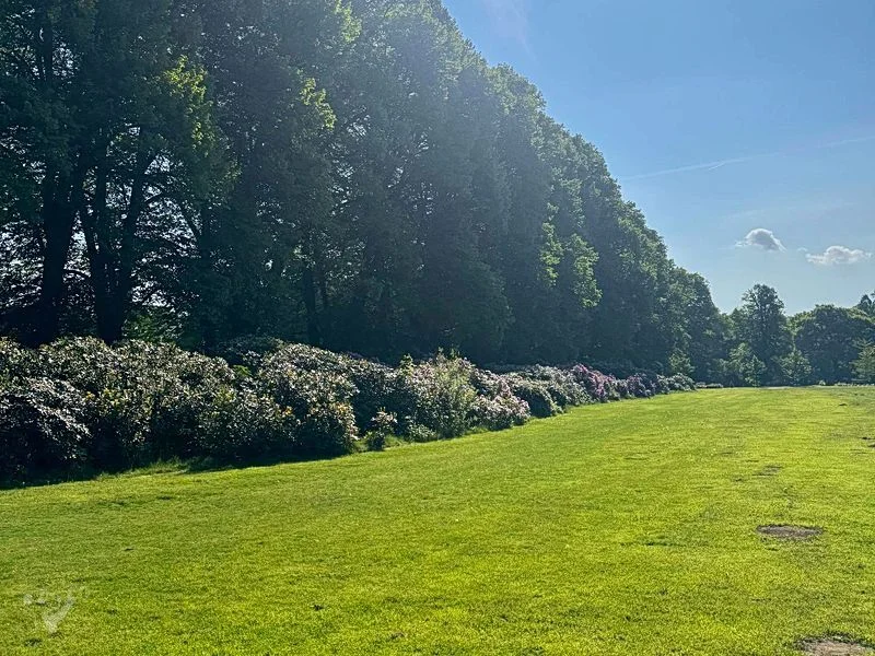 Hirschpark und Spielplatz – Bild 12