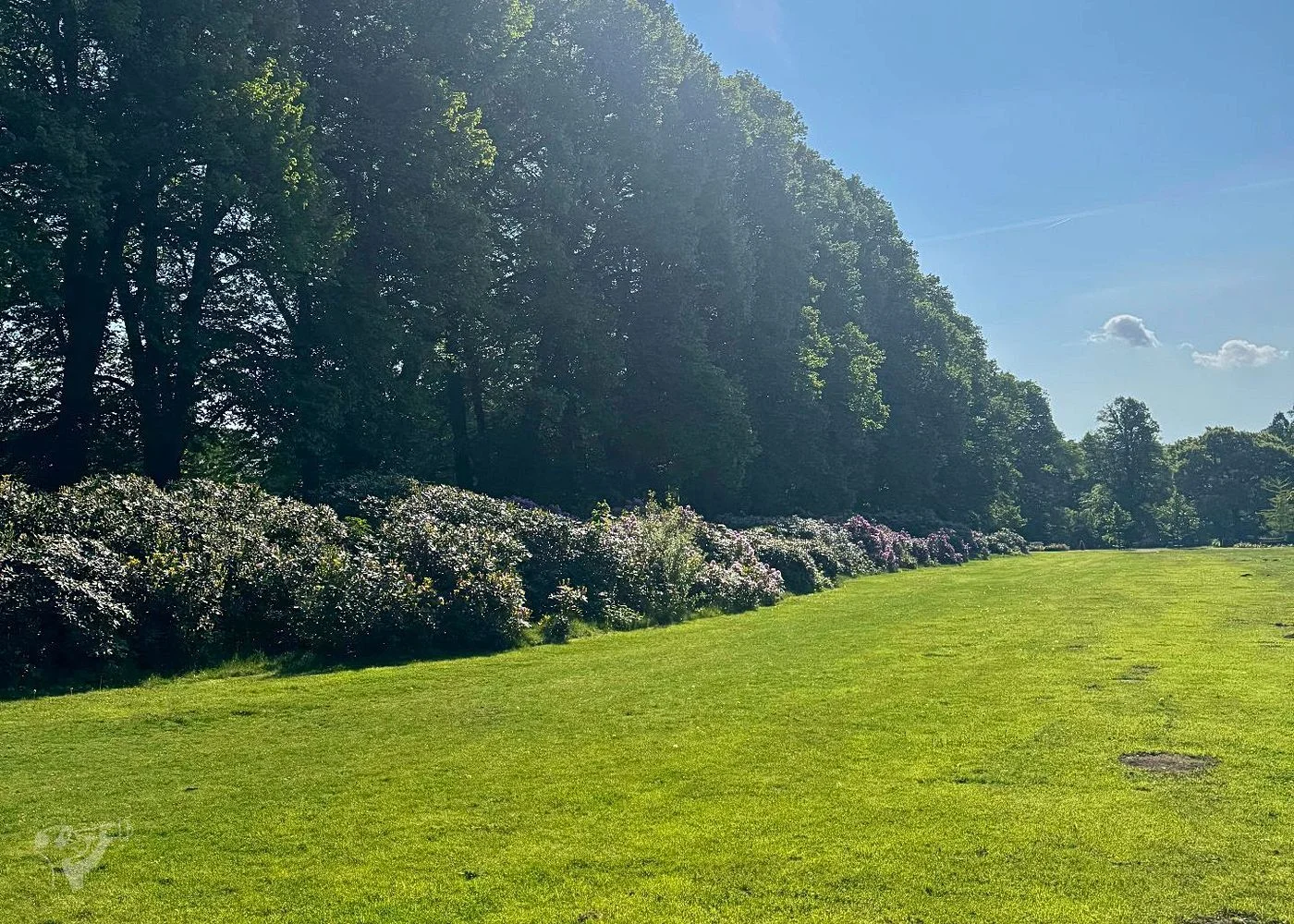 Hirschpark und Spielplatz – Foto 12