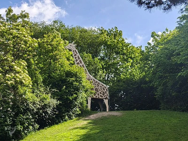 Dschungelspielplatz mit Giraffen-Rutsche – Bild 2