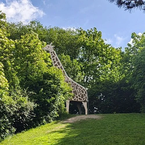 Dschungelspielplatz mit Giraffen-Rutsche