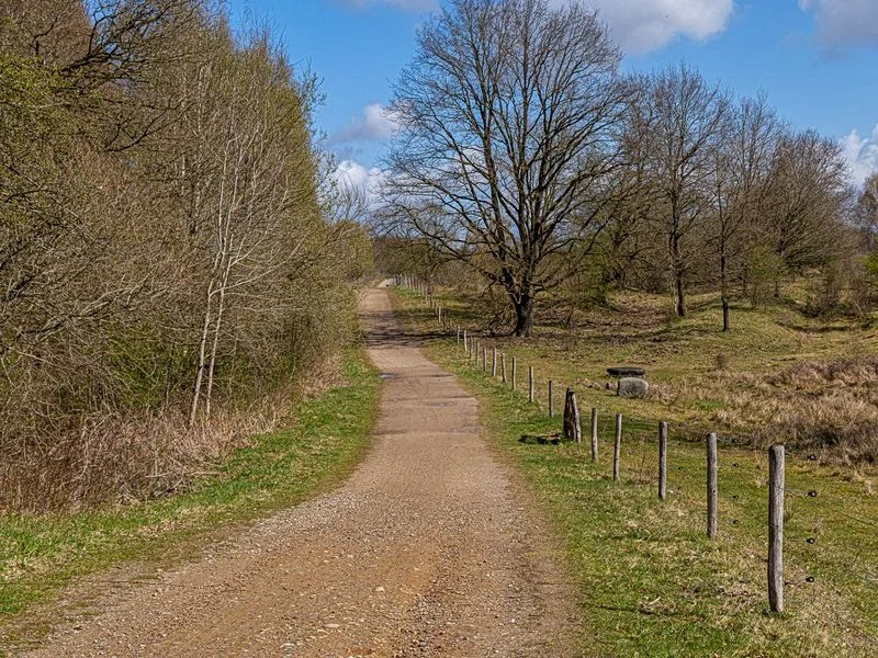 Naturschutzgebiet Höltingbaum – Bild 8