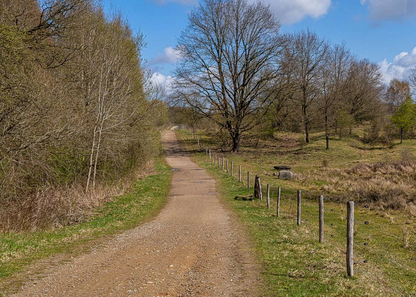 Naturschutzgebiet Höltingbaum – Foto 8