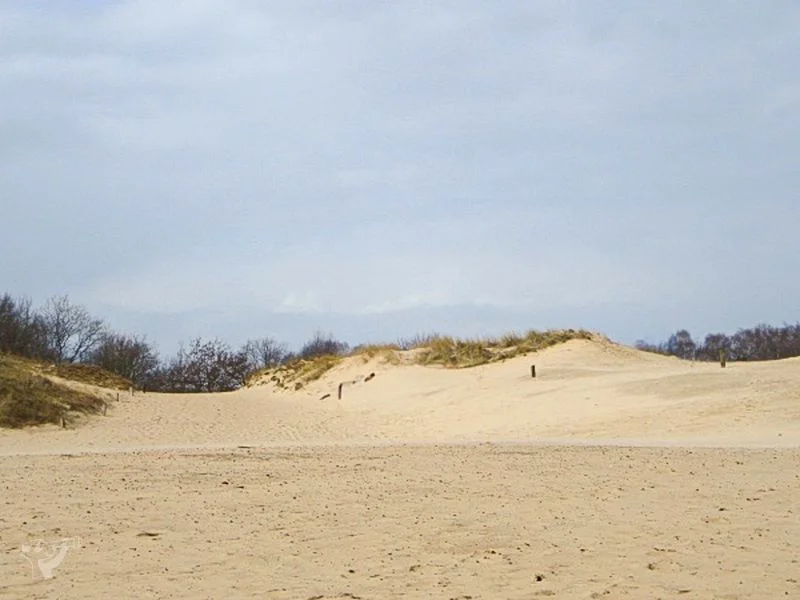 Boberger Dünen – Bild 9