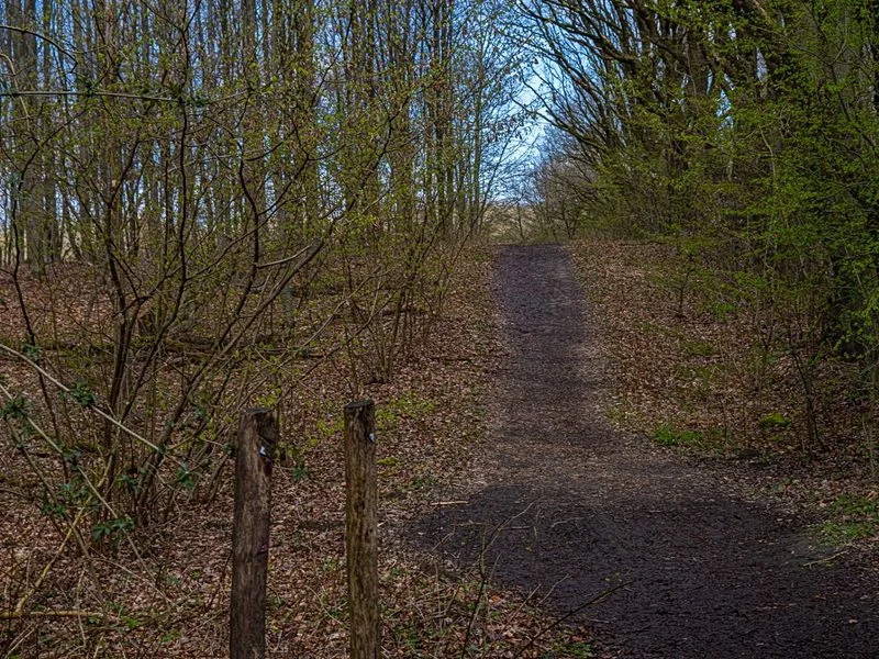 Naturschutzgebiet Höltingbaum – Bild 5