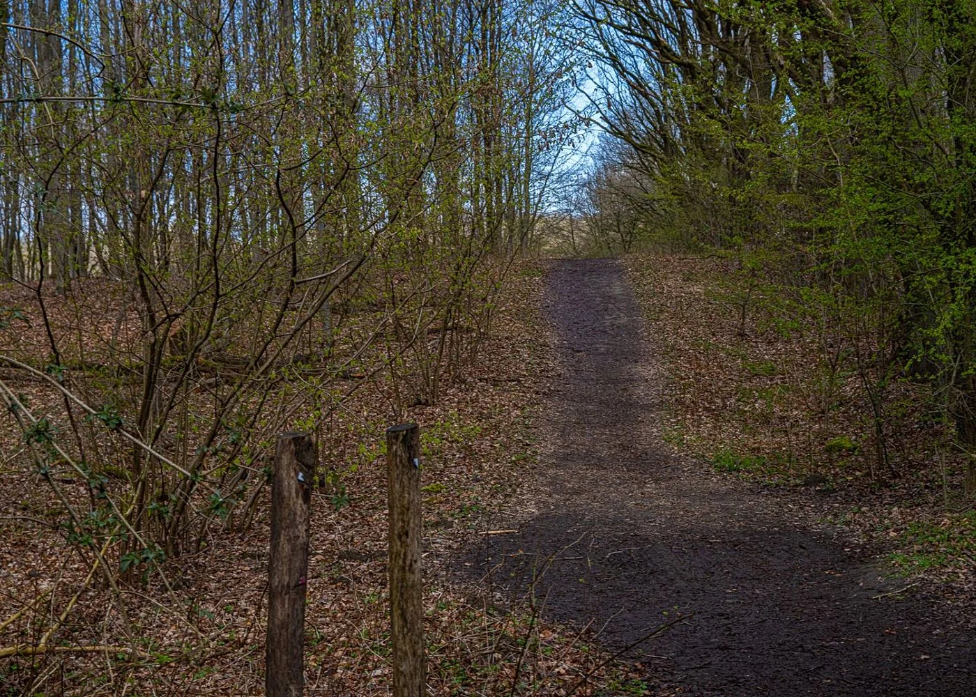 Naturschutzgebiet Höltingbaum – Foto 5